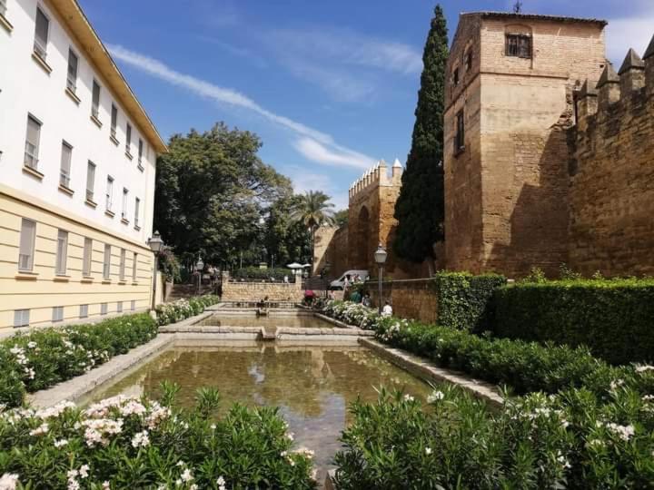 Patio De La Muralla Apartamentos Córdoba Kültér fotó